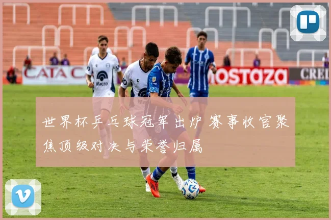 世界杯乒乓球冠军出炉 赛事收官聚焦顶级对决与荣誉归属