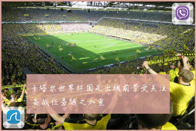卡塔尔世界杯国足出线前景受关注 备战任务随之加重