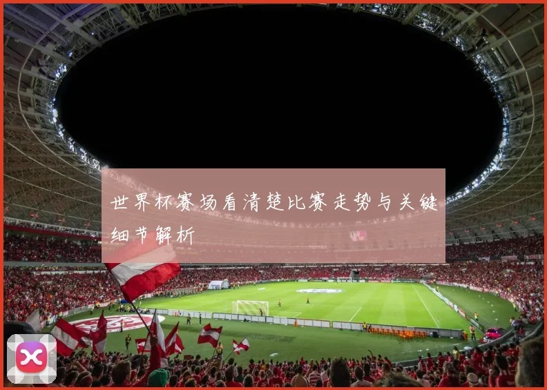 世界杯赛场看清楚比赛走势与关键细节解析