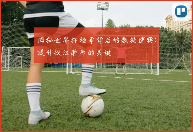 揭秘世界杯赔率背后的数据逻辑：提升投注胜率的关键