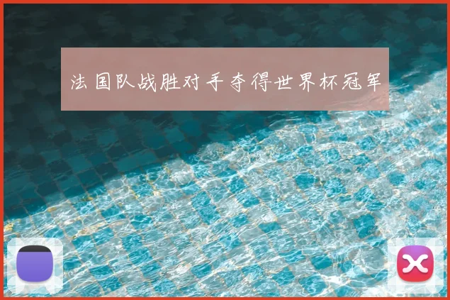 法国队战胜对手夺得世界杯冠军